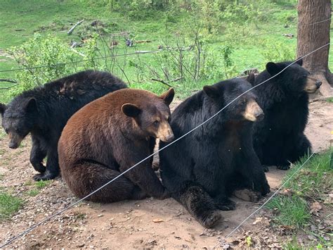 The Best 3 Day Upper Peninsula Michigan Travel Guide Post - Travel With