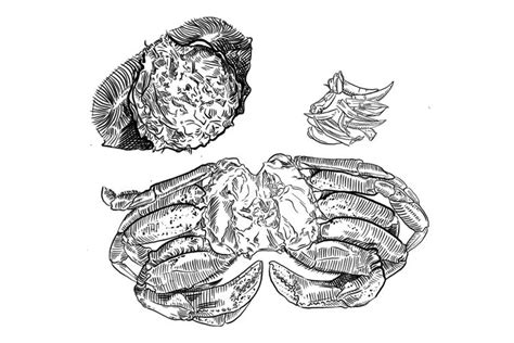 How To Eat Dungeness Crab