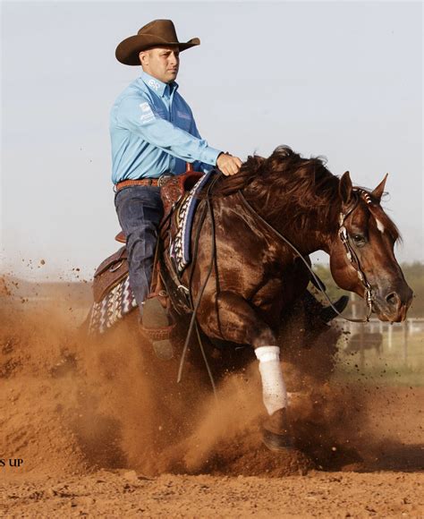 ELECTRIC WIND - IN FOAL PARTNERS QUARTER HORSE STALLIONS