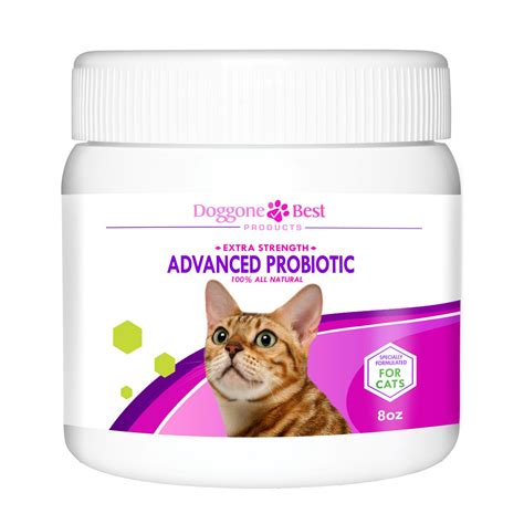 Cat Tooth Abscess Cure at Dorothy Hood blog