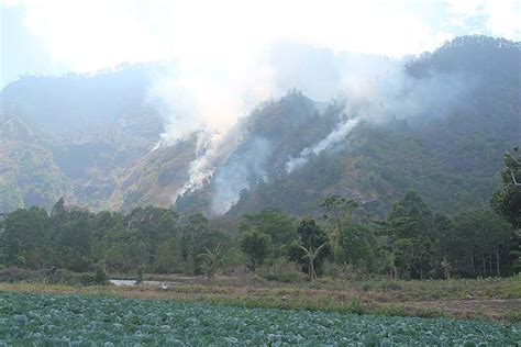 Cegah Kebakaran Hutan Di Kintamani Ini Imbauan Bpbd Bangli Balipost