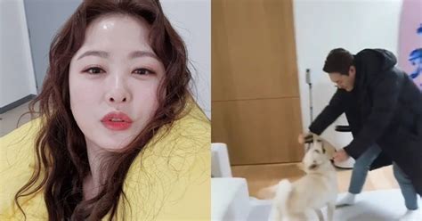 심진화 ♥김원효 닮은 반려견에 웃음 둘이 똑같네 Sns★컷