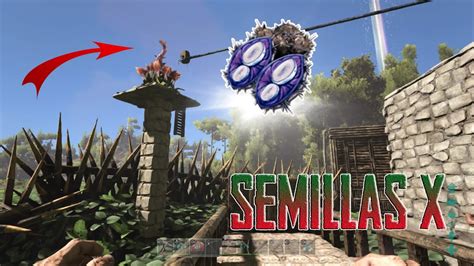 MEJOR TUTORIAL PARA CONSEGUIR SEMILLAS X Y SEMBRARLAS ARK SURVIVAL