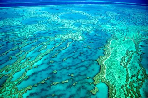 Foto Fotografía Gran Barrera de Coral 7 maravillas de Oceanía que