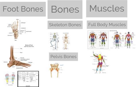 Week 4 - Week 5 — Anna McKee Art