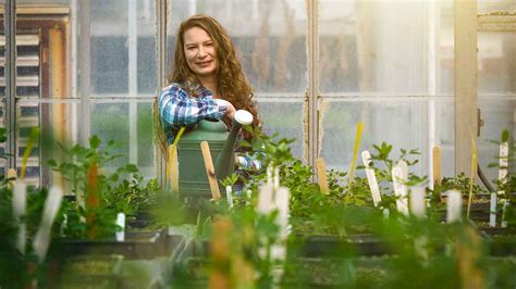 Studying Plants From Home Horticultural Science