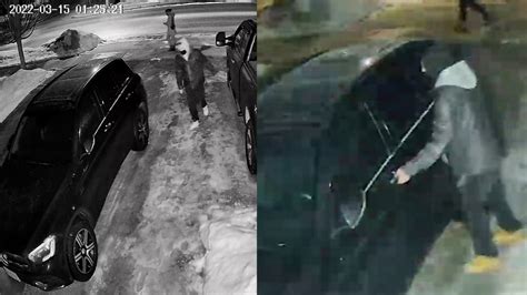 Dufferin Opp Investigates Thefts From Vehciles In Orangeville And Mono Ctv News