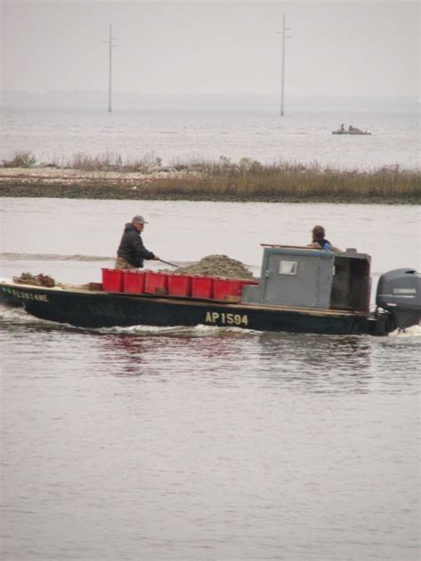 Working to Restore Oyster Habitat | Panhandle Outdoors