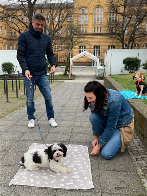 Hundetrainer Stefan Thal Berlin Emmi Welpen Junghunde Coaching