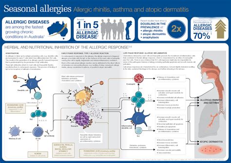 Seasonal Allergies - Symptoms Seasonal Allergies. - Medical School