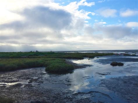 Take a Walk in Nature - Boundary Bay - The Nature Trust of British Columbia