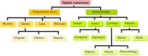 Los Tejidos Animales | Grupo pro-defensa de la Educación de Jóvenes y ...