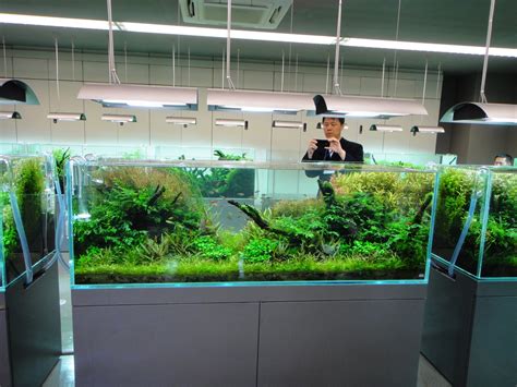 ALEXANDER Aqua Design Studio