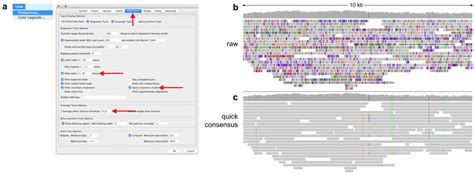 IGV 3 Improves Support For PacBio Long Reads PacBio