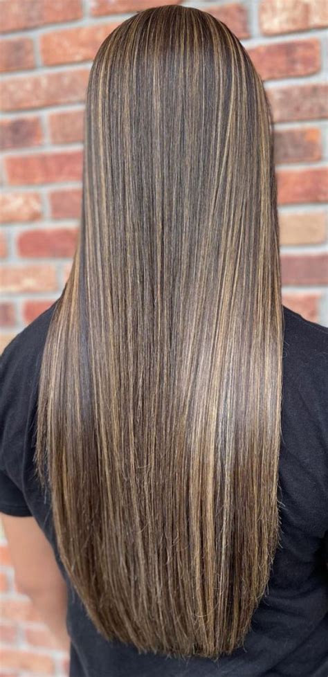 Honey Blonde Highlights Ideas Honey Blonde On Dark Long Straight Hair