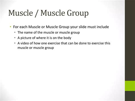 muscle groups  exercises pptx