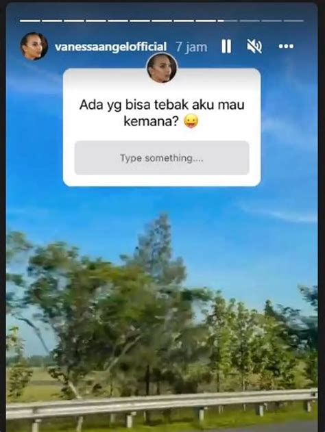 Unggahan Terakhir Vanessa Angel Dan Suami Sebelum Tewas Karena