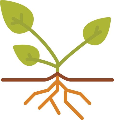 Plant Roots Flat Icon 13949806 Vector Art At Vecteezy