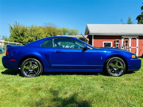 2003 Ford Mustang SVT Cobra 2 | Barn Finds