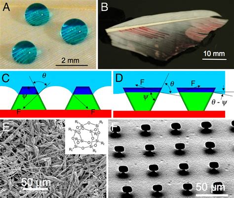 Robust Omniphobic Surfaces Pnas