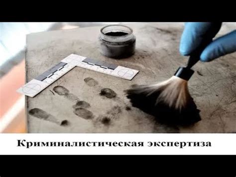 Криминалистическая экспертиза - YouTube