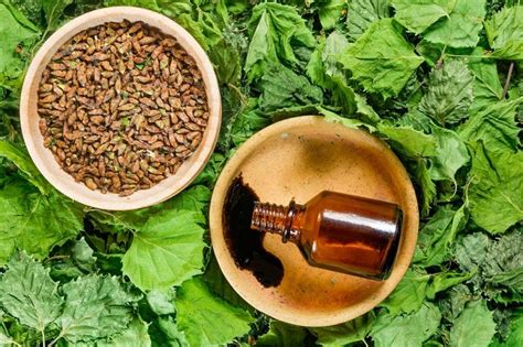 Дегтярное мыло: никакого пота, молочницы, прыщей и выпадения волос ...