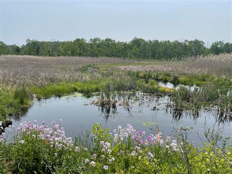 Rail Trail | Newton, NJ - Official Website