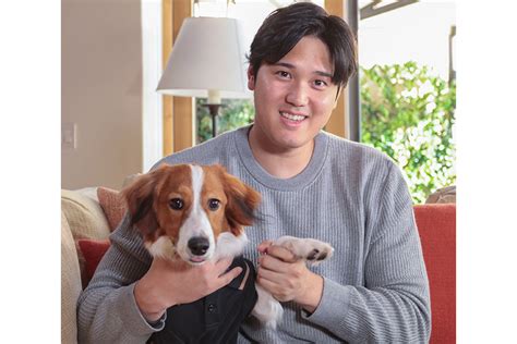 空港に 登場 した愛犬「デコピン」 大谷翔平を追いかけ記者が発見際だつ人気ぶり Full Count