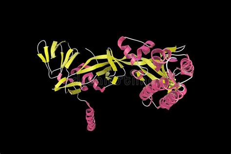 Crystal Structure of the Prefusion Form of Measles Virus Fusion Protein ...