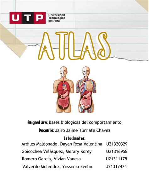 Atlas Trabajo Final Atlas Bases Biologicas Del