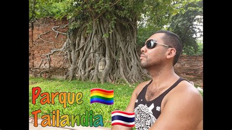PARQUE DE LIGUE GAY TAILANDIA YouTube