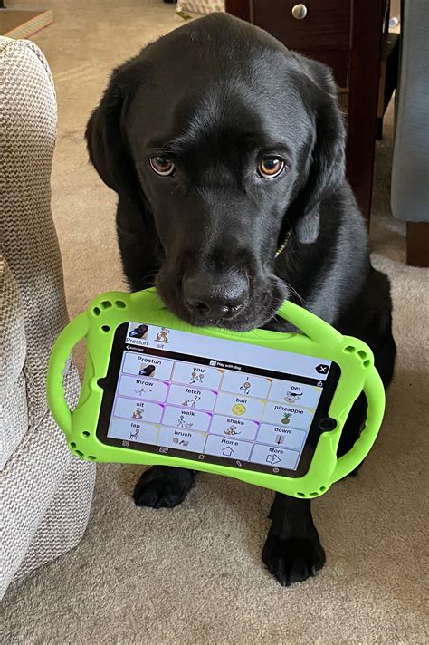 Best AAC Images On Pholder Gun Porn NFA And Mavericks