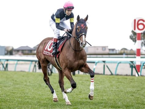 【セントライト記念見どころ】ダービー3着馬アスクビクターモアが始動 競馬ニュース Netkeiba