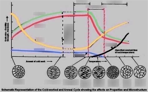 Cold Worked And Annealed Cycle Diagram Quizlet