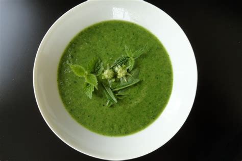 Wildkräutersuppe Rezept