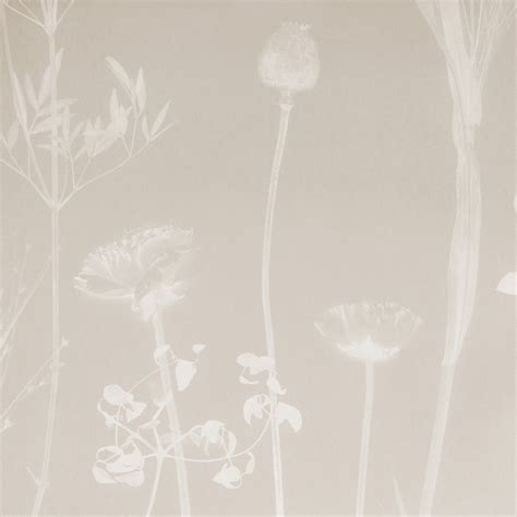 Thistle – Calico Wallpaper