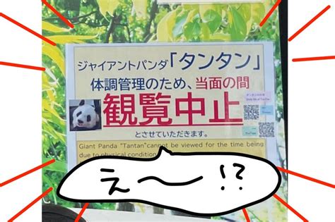 何回やらかすねん！っていう失敗と、王子動物園レポ。 おうちと暮らしのレシピ 〜homeandlife〜