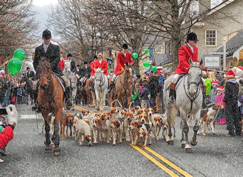 Middleburg Fox Hunt 2013 Photograph By Scott Fracasso Fine Art America