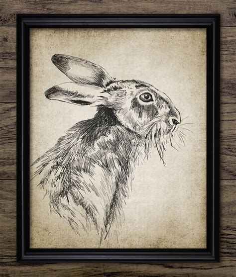 Rabbit Drawing, Printable Rabbit Drawing, Rabbit Wall Art, Rabbit Print ...