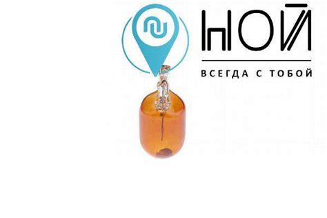 Купить Лампа WY21W 12V 21W PURE Light (уп. картон) 1987302222 Bosch ...