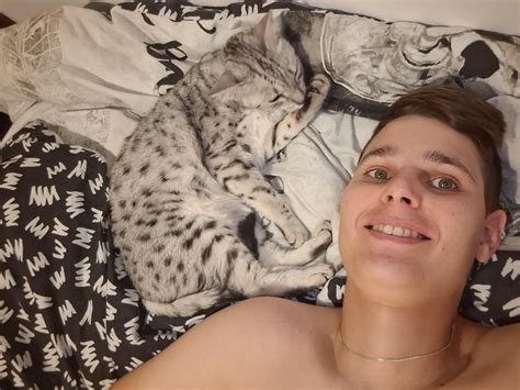 Find the cat: Egyptian Mau edition : r/egyptianmau
