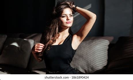 Portrait Sexy Brunette Black Dress On Stock Photo 2055585341 Shutterstock