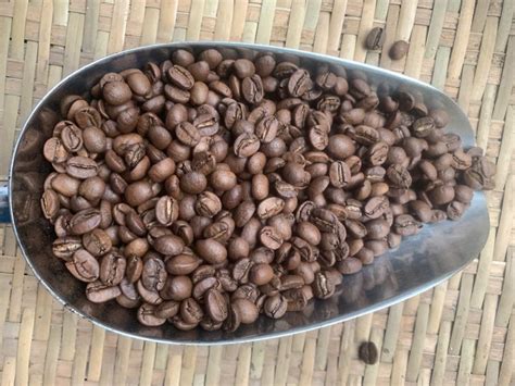 Máy rang cà phê Hot Air Công nghệ hiện đại cho hạt cà phê hoàn hảo khesaca