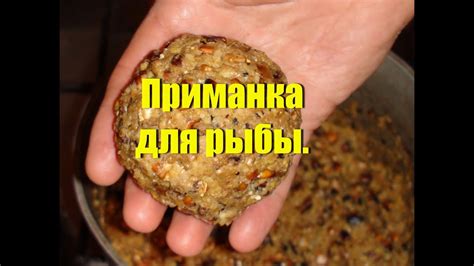 Приманка для рыбы. Прикормка своими руками. - YouTube