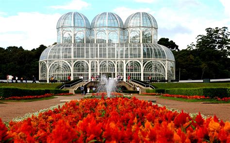 destinos economicos curitiba kayak