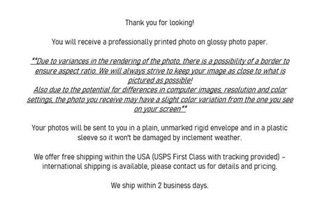 X X Or X Glossy Photo Hot Sexy Brunette Female Model FA Etsy Canada