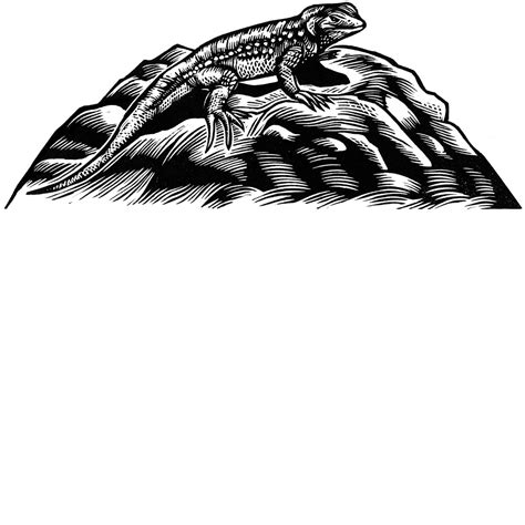 Western Fence Lizard — Printgonzalez