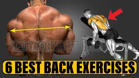 Lats Workout You Wont Believe What These 8 Exercises Can Do For Your