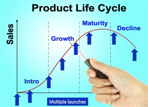 Product Life Cycle Medical Device Marketing Insights