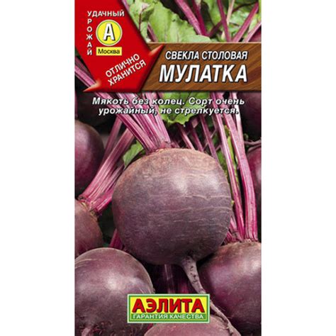 Свекла Мулатка столовая Аэлита Аэлита купить от 35 рублей в Санкт ...